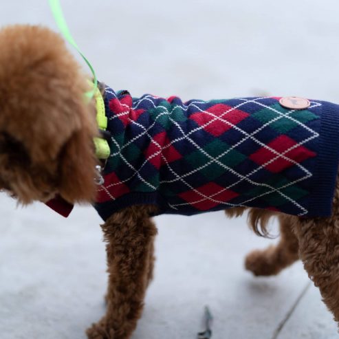 pet sweater