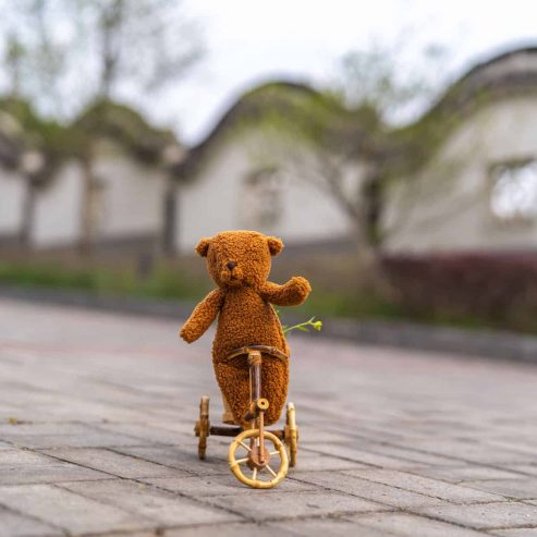 bambo bicycle and plush teddy bear