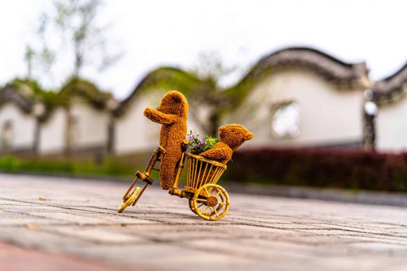 bambo bicycle and plush teddy bear