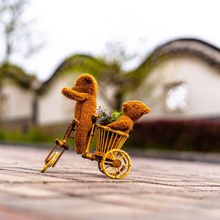 bambo bicycle and plush teddy bear