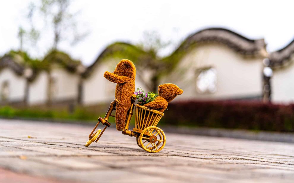 bambo bicycle and plush teddy bear